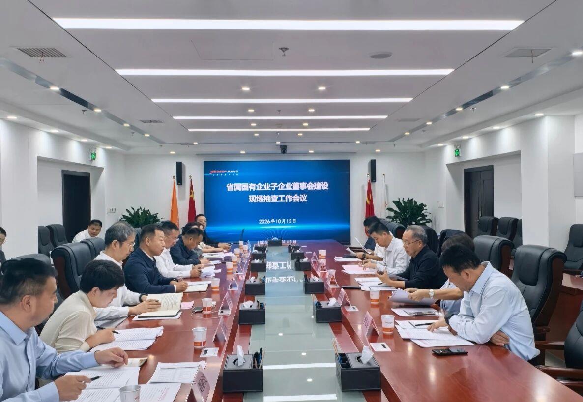 省国资委工作组对榆林新材料集团开展董事会建设综合抽查 